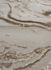 Vizion contemporary Platinum Rug 160x230cm, Bedroom & Living Room Asia